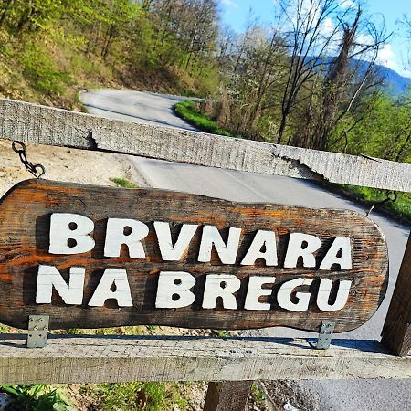 Brvnara Na Bregu Villa Bajina Basta Luaran gambar