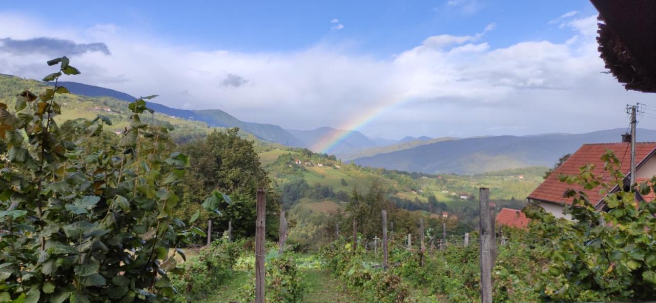 Brvnara Na Bregu Villa Bajina Basta Luaran gambar