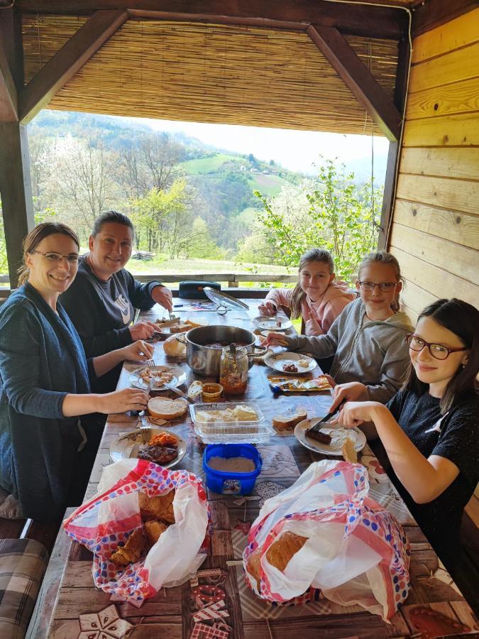 Brvnara Na Bregu Villa Bajina Basta Luaran gambar