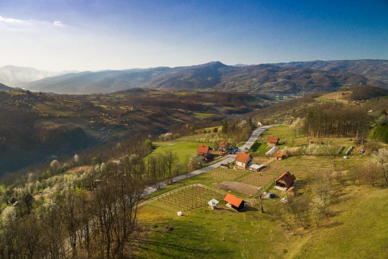 Brvnara Na Bregu Villa Bajina Basta Luaran gambar