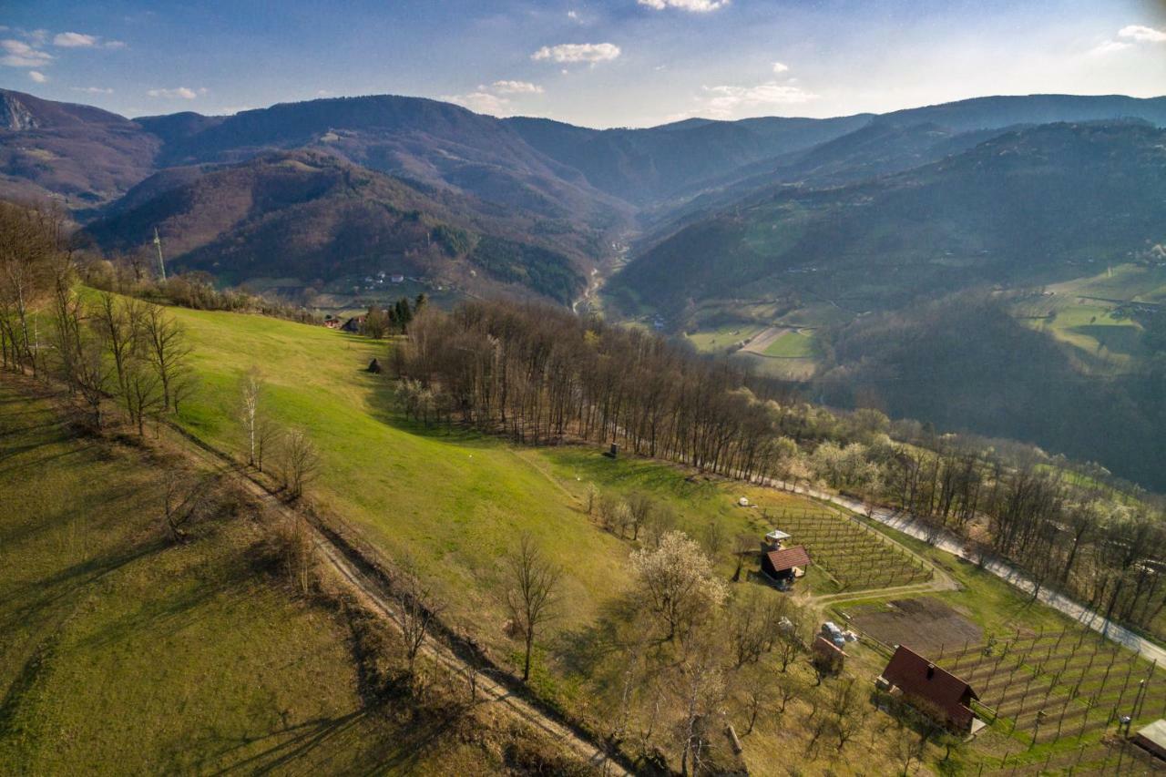 Brvnara Na Bregu Villa Bajina Basta Luaran gambar
