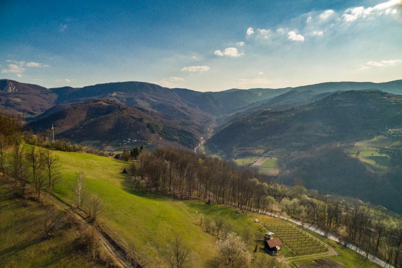 Brvnara Na Bregu Villa Bajina Basta Luaran gambar