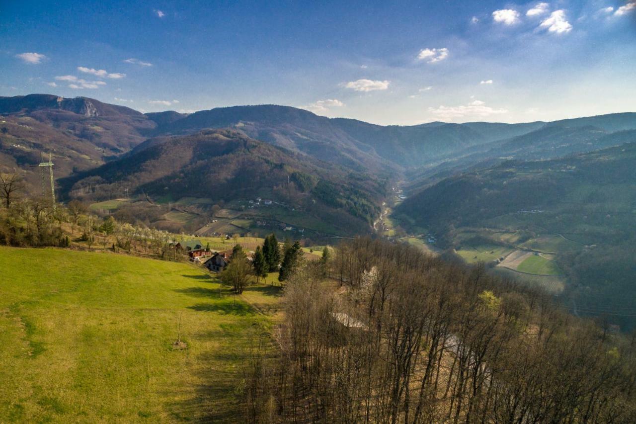 Brvnara Na Bregu Villa Bajina Basta Luaran gambar